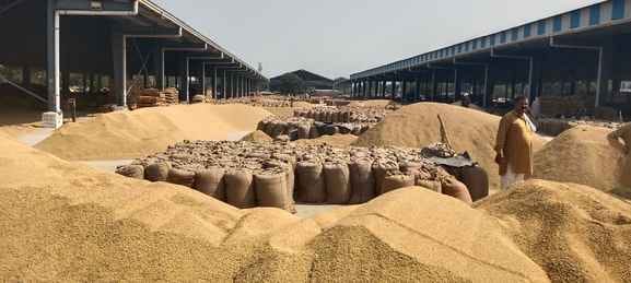 Paddy piles up in the market...management is in shambles.