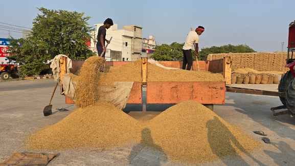 Procurement of millet and paddy continues in the market