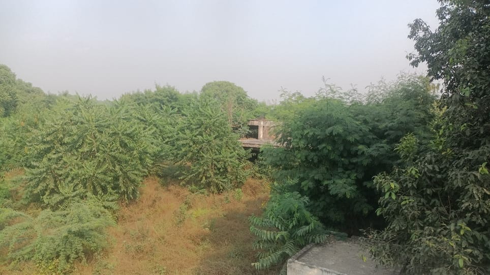 The construction of Punjabi Dharamshala could not be completed in seven years.
