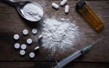 Rajasthan Police Bust ₹700 Crore MD Drug Network in Massive Crackdown