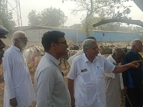 SDM instructed SDO to carry out the tagging work smoothly.