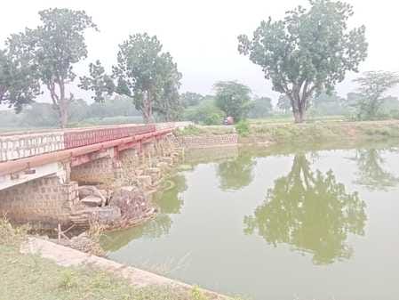Canal water stopped from Madhya Pradesh, irrigation of paddy stopped