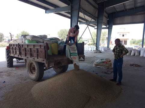 So far, 4.25 lakh quintals of millet has been purchased in three markets.