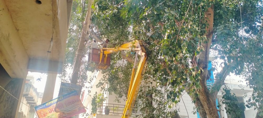Trimming of tree branches started for uninterrupted power supply