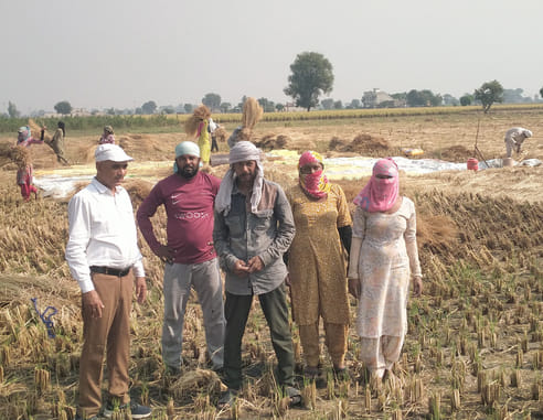 Increased income along with environmental protection by stubble management