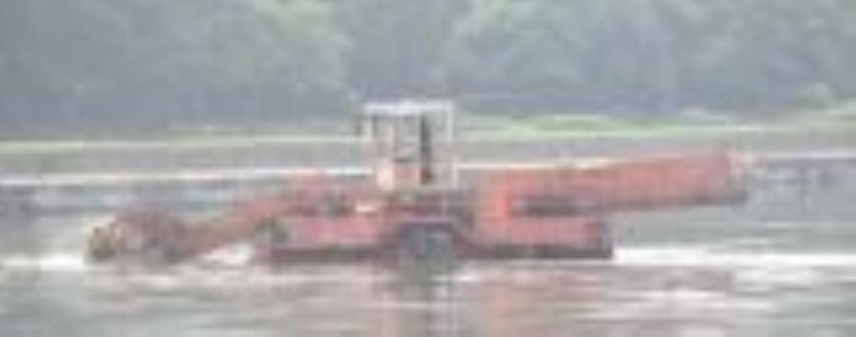 Silt is being removed from Gomti and dumped into Gomti.