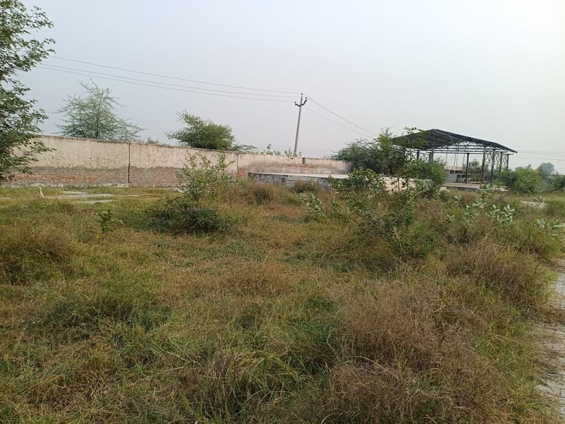 Players demanded basic facilities and coaches from the government