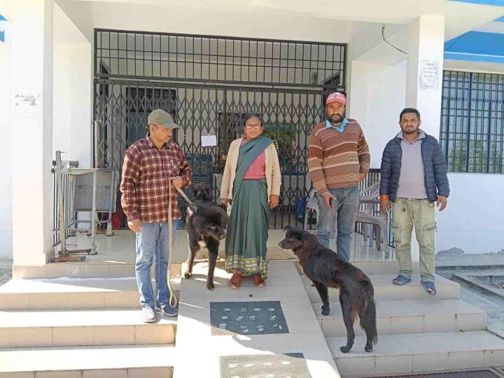 Kanalichhina Animal Hospital was found locked at 12 noon, cattle farmers returned disappointed.
