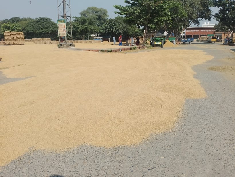 Paddy procurement in the markets is not picking up pace.
