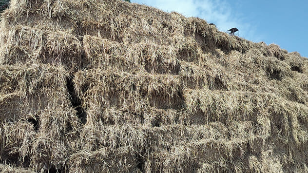 Praveen became an environmental watchdog by buying stubble from farmers.