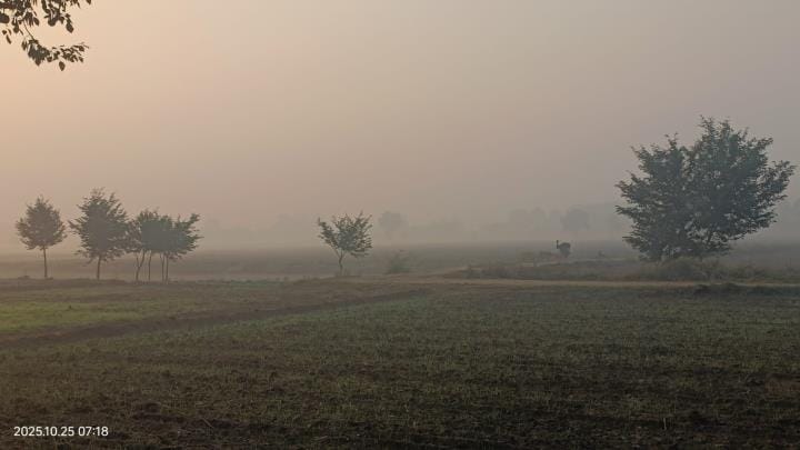 A sense of coolness from the light fog, signs of reduced pollution from the flow of wind