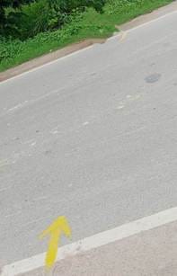 Joint Management Survey for Ring Road completed
