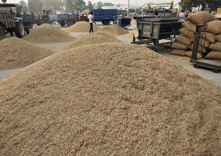 Paddy production decreased, farmers suffered losses