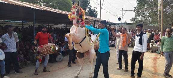 Bundeli folk art and stunts captivated everyone.