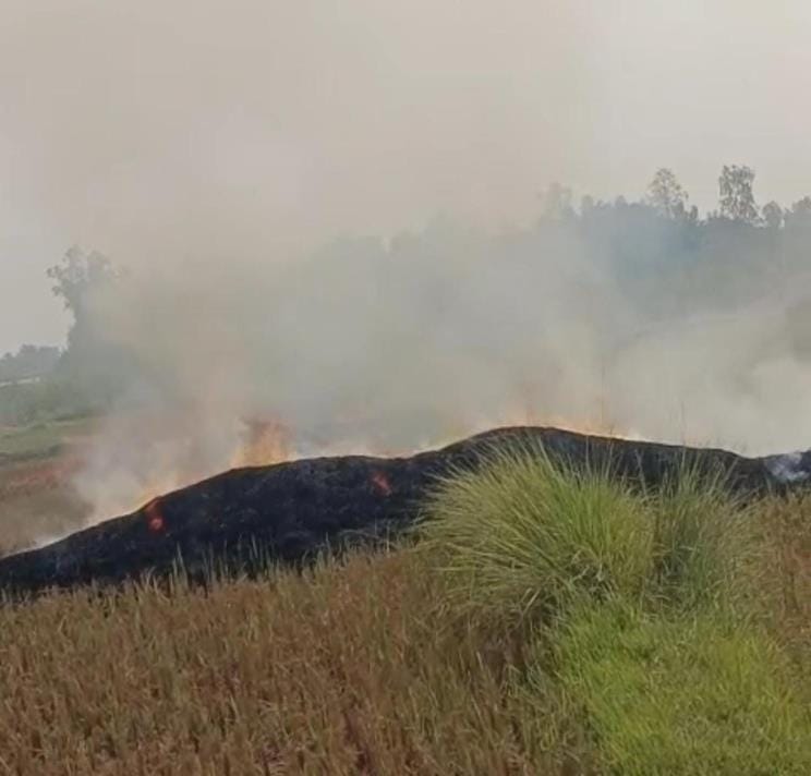 Farmers are fearlessly burning stubble in Nawabganj.