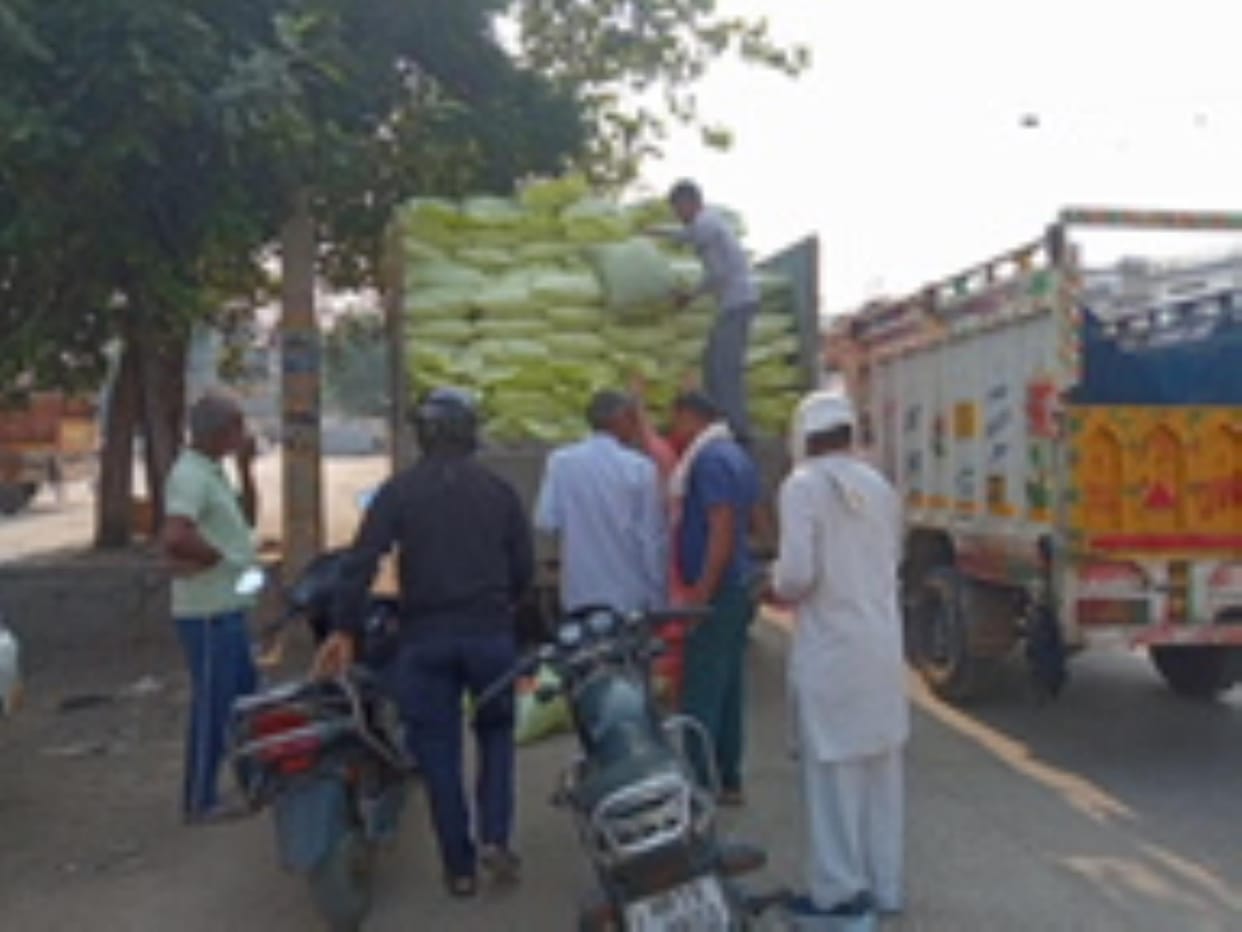 dap and wheat seed distributed