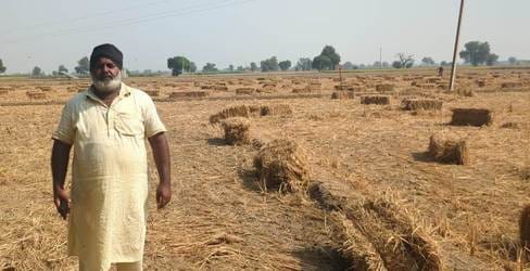 Mixing stubble in the fields will increase fertility