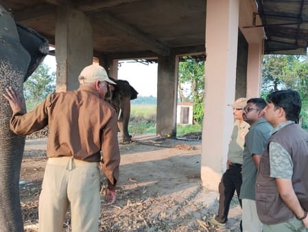 Four state elephants will take tourists on a tour of Dudhwa forest