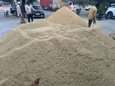 Sunday was dull, arrival of paddy in the market was less.