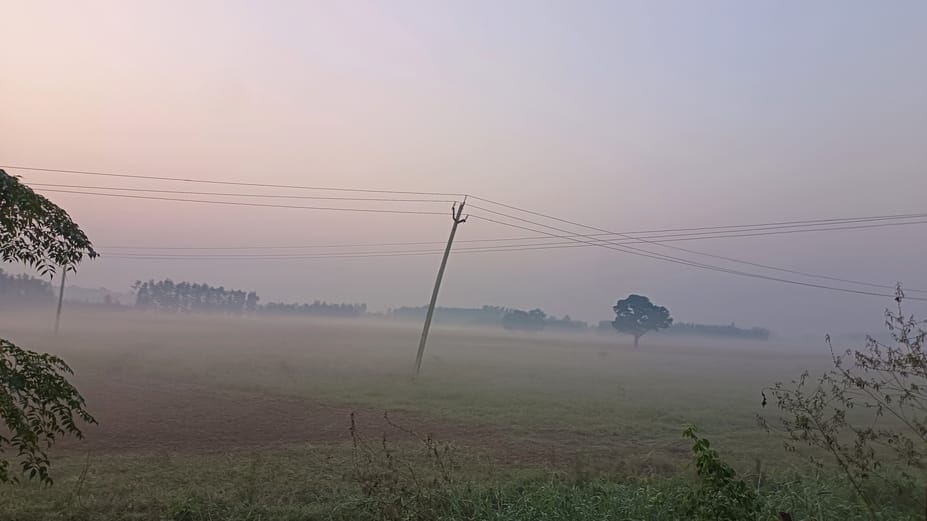 Clean air was available only on four out of the last 12 days, pollution has made breathing difficult since Diwali.