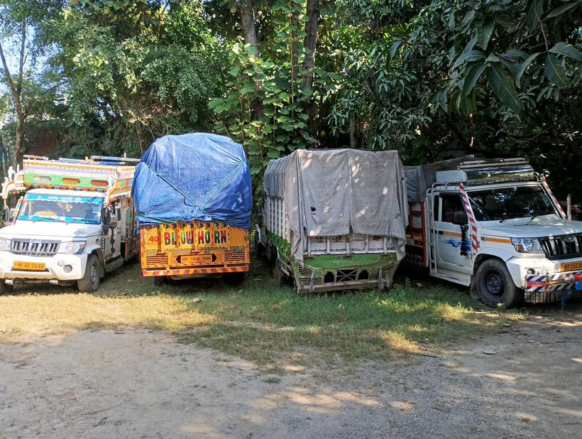 Two pickup trucks carrying illegal timber seized