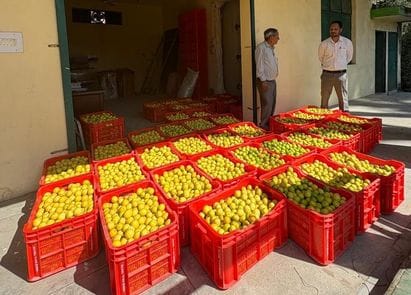 Fruits and vegetables will now be safe for six months in Chauntra.