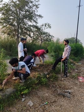 Cleanliness drive was carried out along with maintenance of plants.
