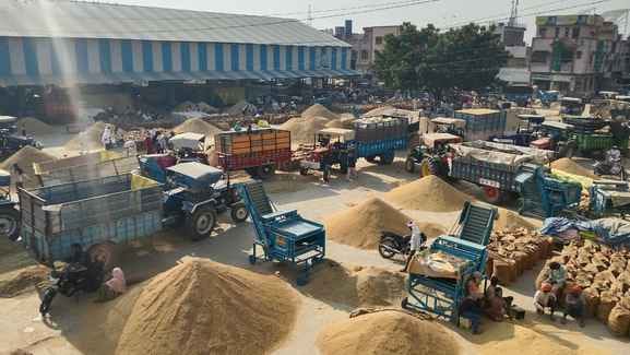 Arrivals of Basmati and Parmal rice have increased, but there is not enough space in the markets.