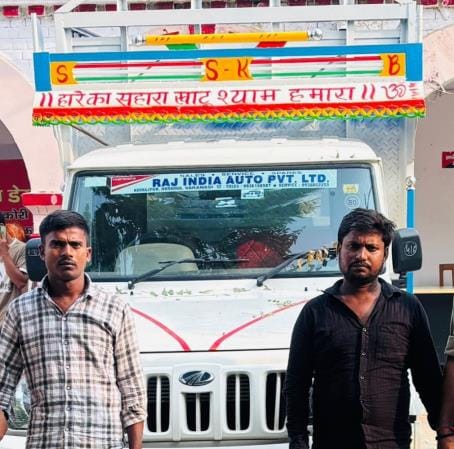 Five cattle found in a pickup, two accused arrested