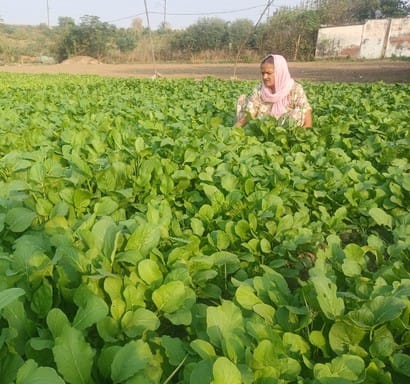 Rama Devi has been growing vegetables for 40 years.