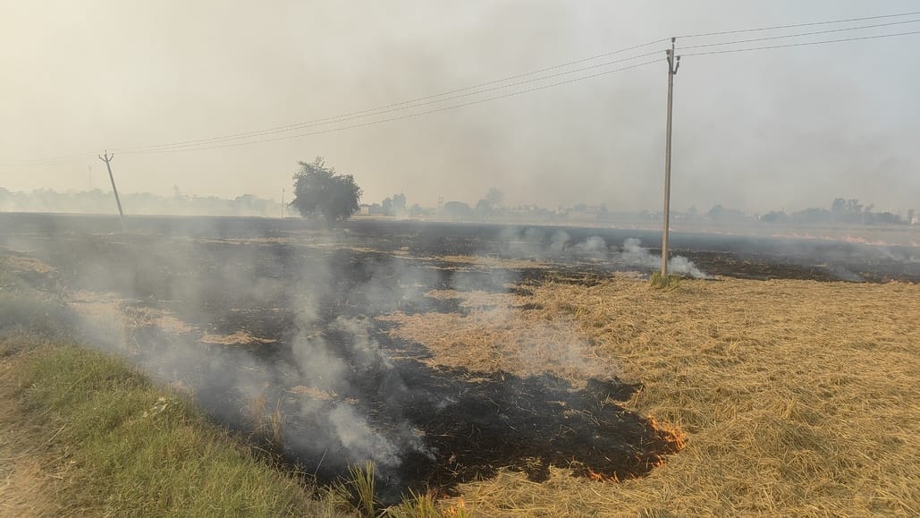 Crop residue burnt at 10 places in the district, location obtained from Harsek