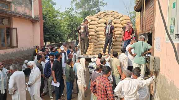 2500 bags of wheat seed distributed, farmers returned empty-handed after waiting in line for hours
