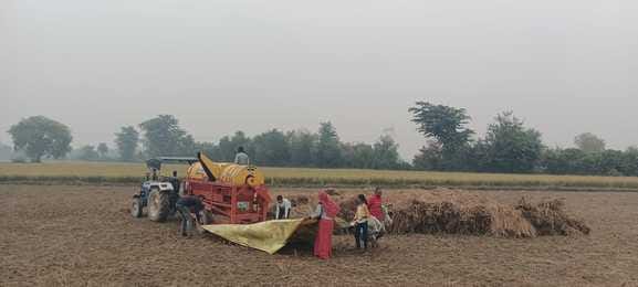 Drizzle increased the heartbeat of farmers
