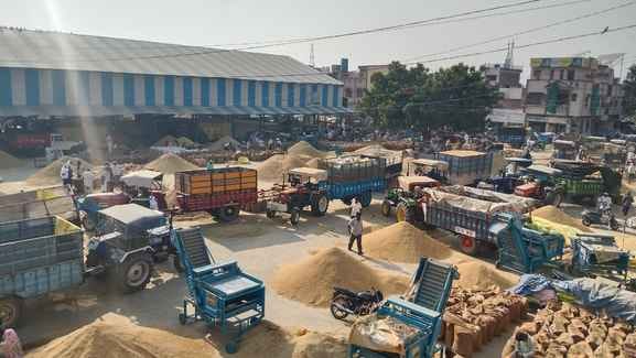 Tractor-trolleys are being swarmed in grain markets