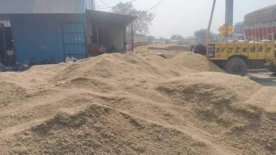 नवीन गल्ला मंडी में धान का ढेर लगा हुआ। संवाद