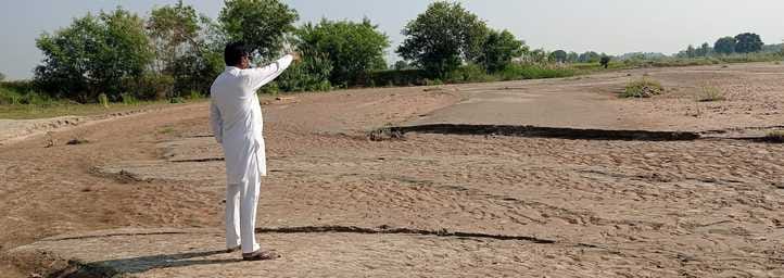 samba news, wheat news