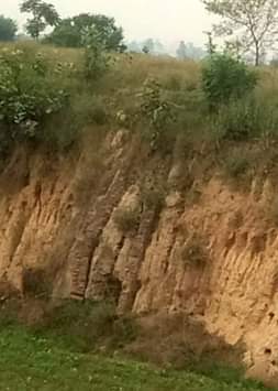 सिसाना गांव के जंगल में स्थित खंडवारी से मिट्टी खोदाई के दौरान एक प्राचीन मंदिर की आकृति की तरह