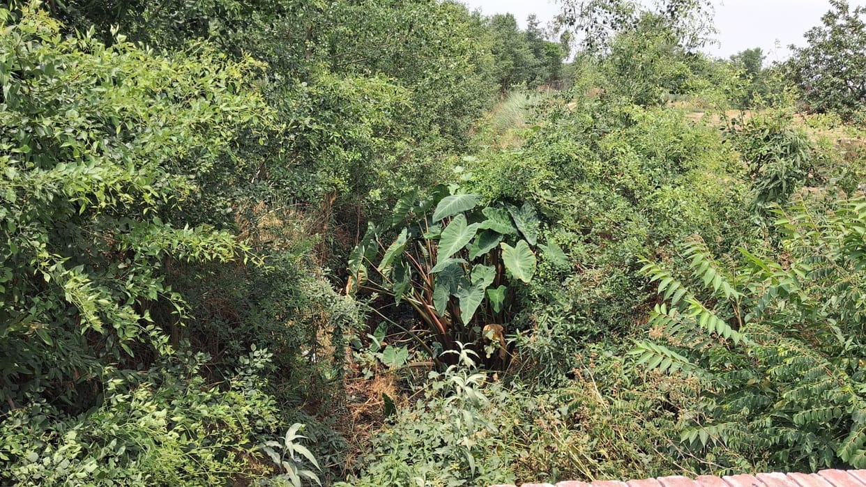 30 lakh rupees will be spent to clean the silt of 13 canals.