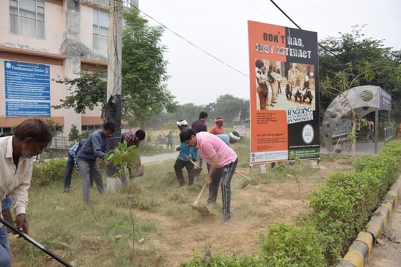Medicinal plants will be planted using new technology in Maharishi Charak Herbal Garden