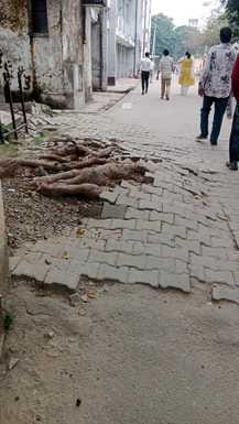 Patchwork claims are baseless, potholes dot the road from Rampur to Shahabad.