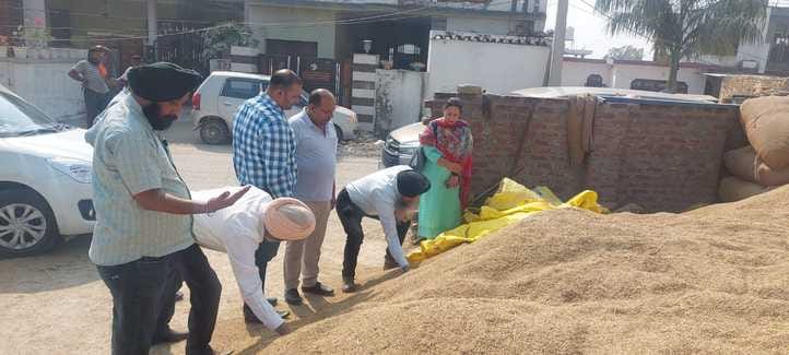 samba news, agriculture news