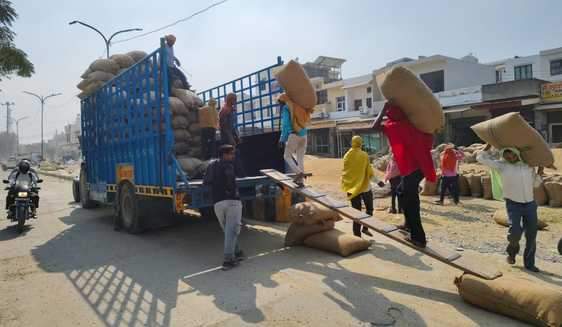 नई मंडी में ट्रैक्टर-ट्राली में लोडिंग करते श्रमिक। संवाद