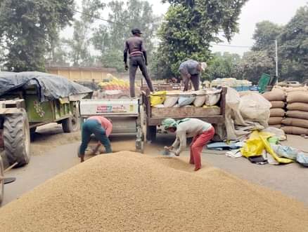 संभल मंडी समिति में क्रय केंद्र पर धान की सफाई करते मजदूर। संवाद