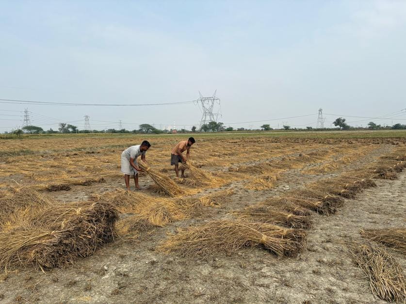 Effect of weather, silence in the market most of the time, wrinkles on the forehead of farmers
