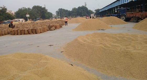 Farmers allege that they are buying paddy at a price as low as Rs 800.