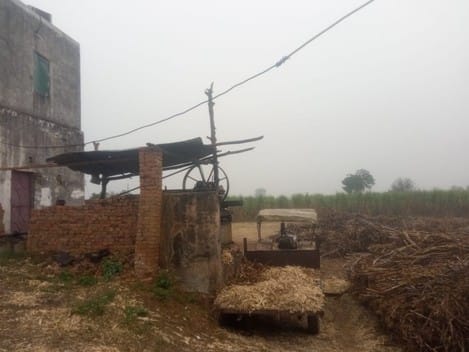 Light rain increased the cold, increasing the worries of farmers