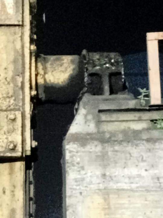 एनटीपीसी में टूटा वैगन ट्रिपलर का गियर बाक्स।