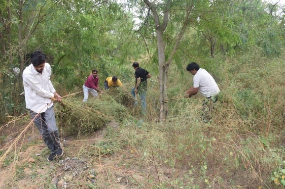 Cleanliness drive was carried out near Rao Tularam Bhawan and UIT Bhawan.