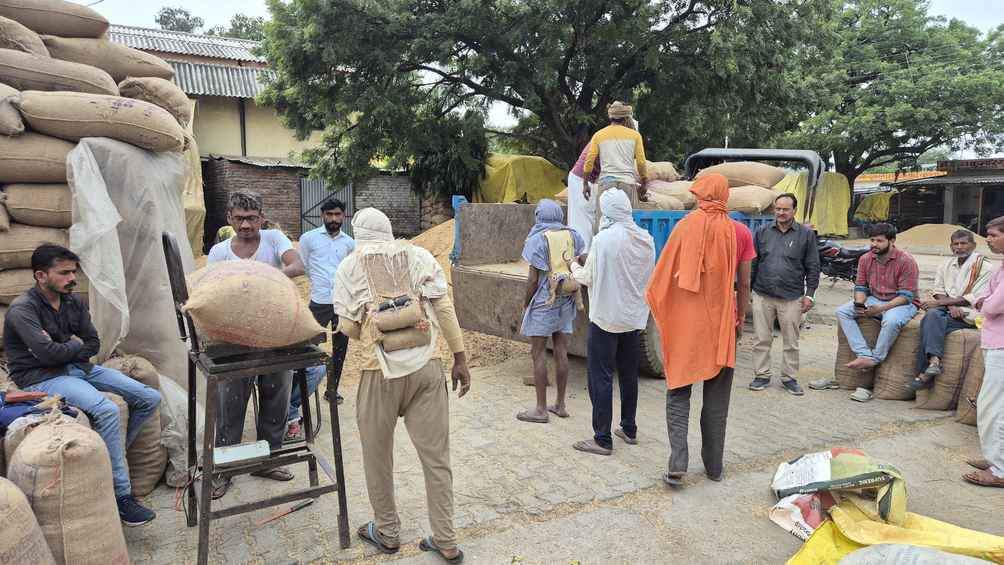 फोटो -14 मोहम्मदाबाद मंडी में आढ़त पर होती धान की तौल। संवाद