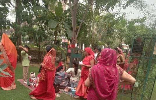On Amla Navami, women worshipped the Amla tree.